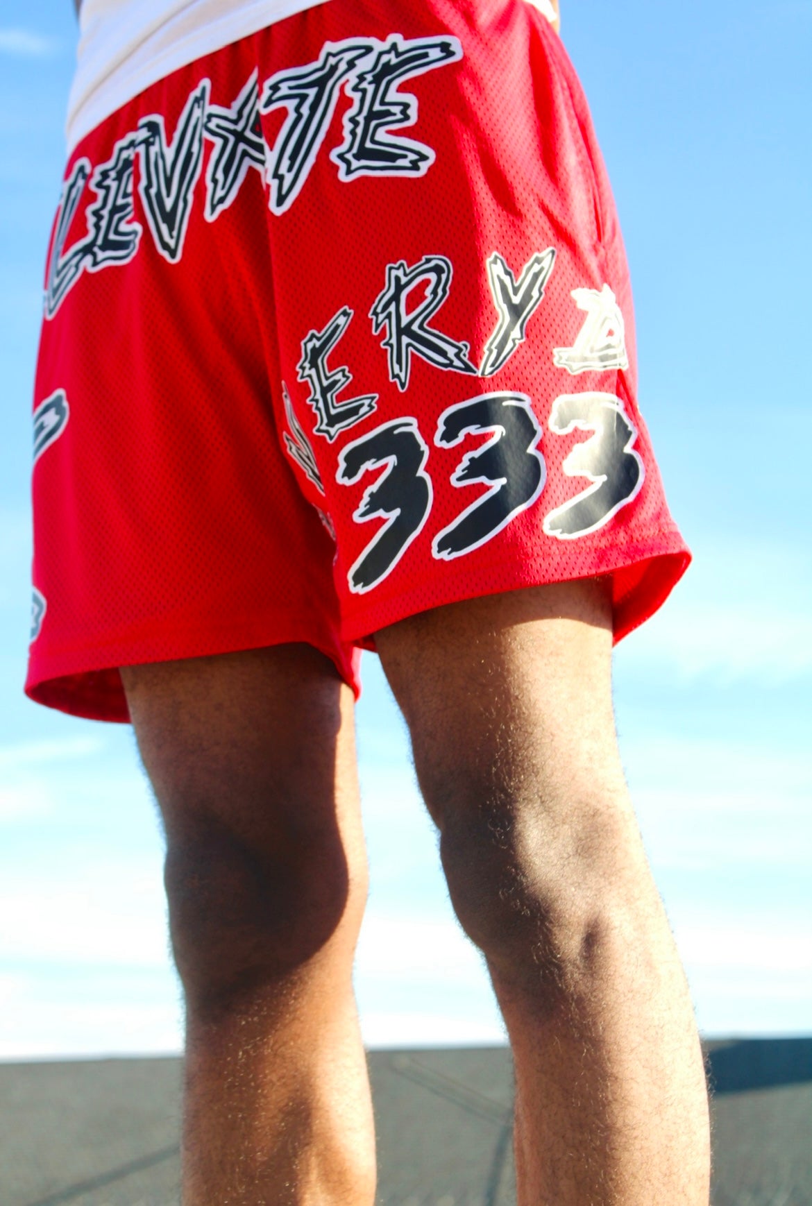 Elevate Everyday 333 Shorts